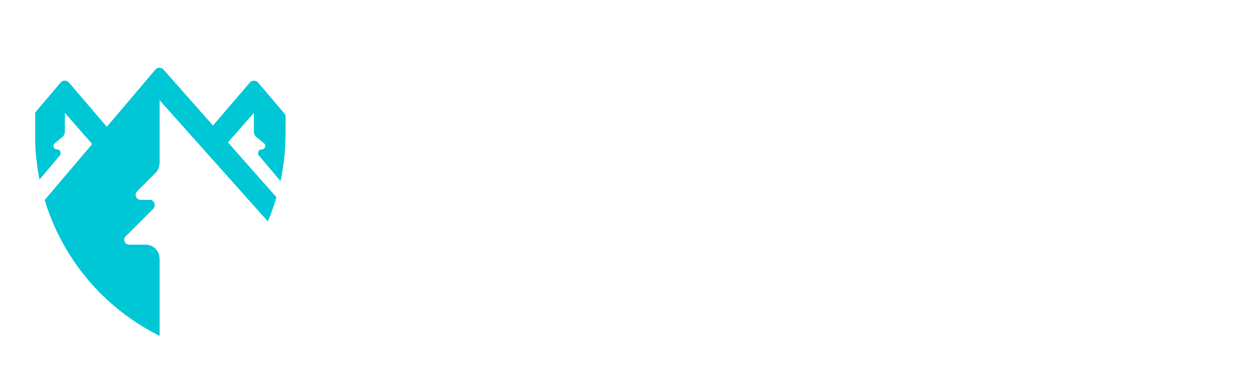 SaltRock Security